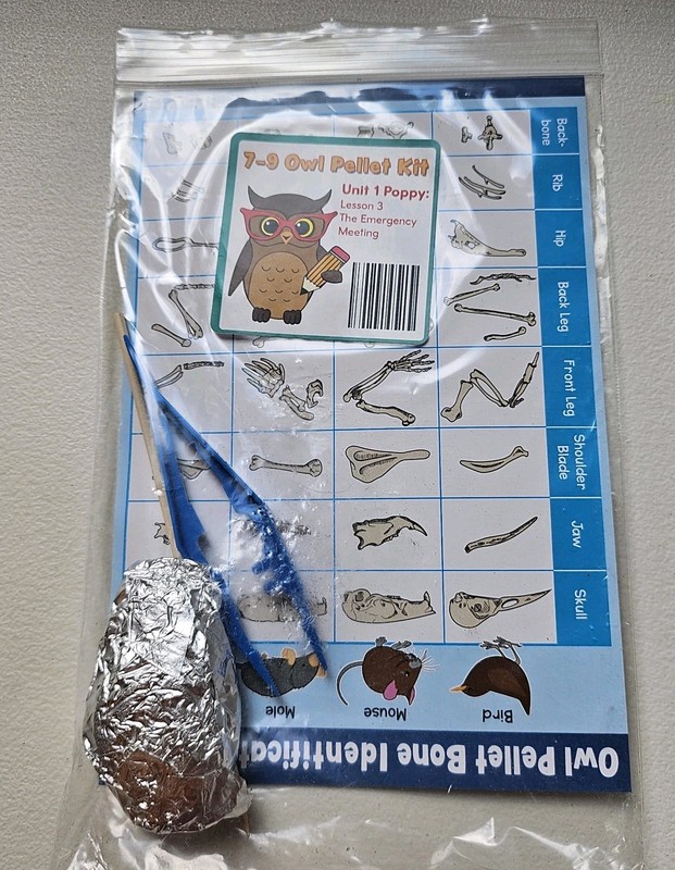 Moving Beyond The Page Age 7-9 Full Year Language Arts - No Owl Pellet Kit gallery
