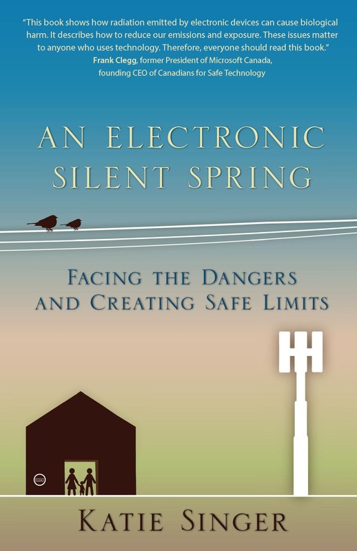 An Electronic Silent Spring: Facing the Dangers and Creating Safe Limits