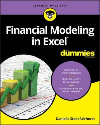 Financial Modeling in Excel For Dummies – Paperback – ACCEPTABLE