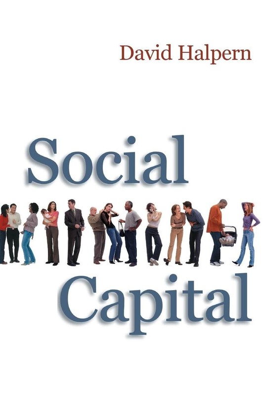Social Capital by David Halpern (English) Paperback Book