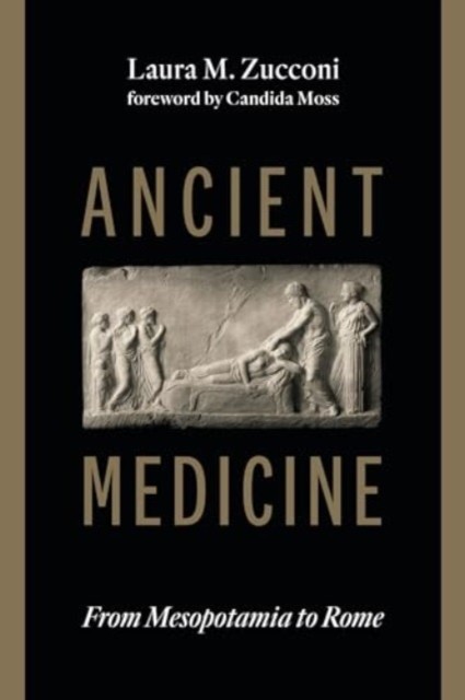 ANCIENT MEDICINE by ZUCCONI, LAURA M. Paperback Self Help Business