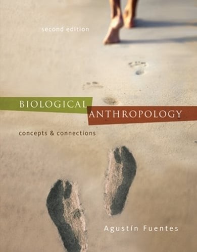 Biological Anthropology: Concepts and Connections by Agustin Fuentes: Used