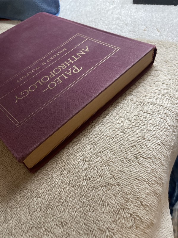 Paleoanthropology | Milford H Wolpoff | Hardback. First Edition 1980 gallery