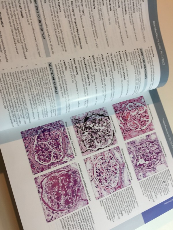 Diagnostic Pathology Kidney Diseases gallery