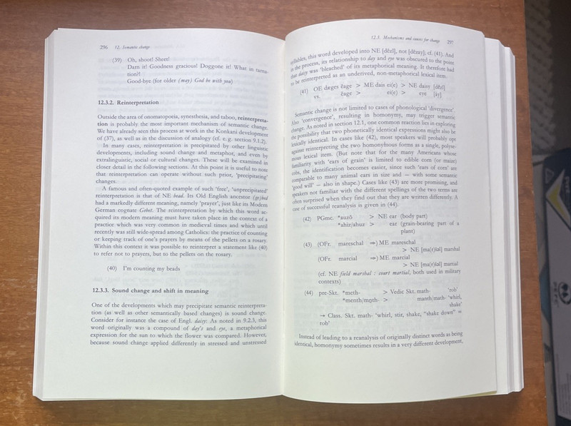 Principles of Historical Linguistics by Hans Henrich Hock-Mouton de Gruyter 1986 gallery