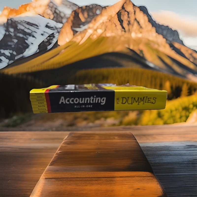 Accounting All-in-One For Dummies (9 Books in 1) - Wiley Brand - Like New gallery