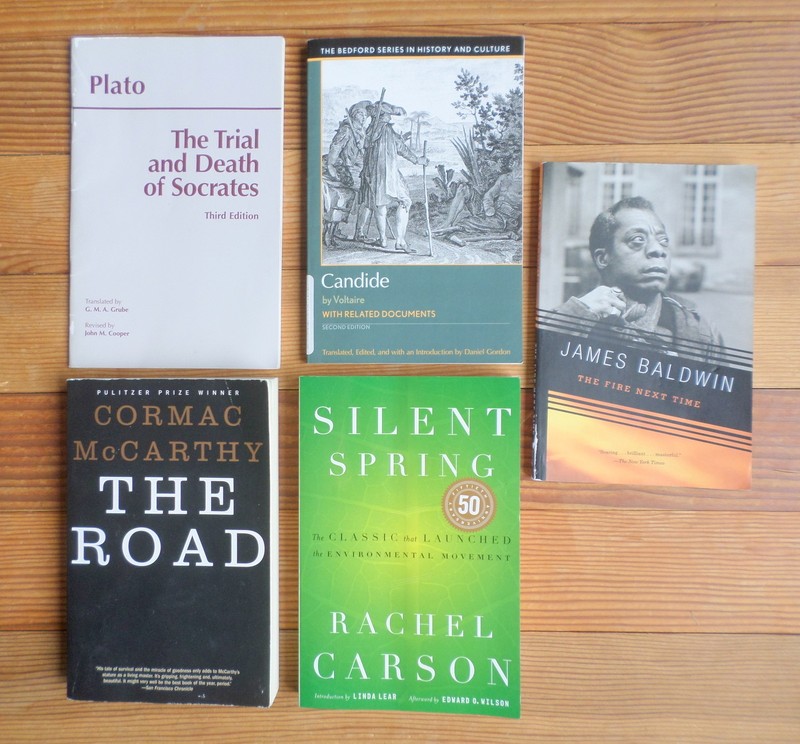 College English Books Writing Lot of 5 Plato Candide The Road Silent Spring Fire
