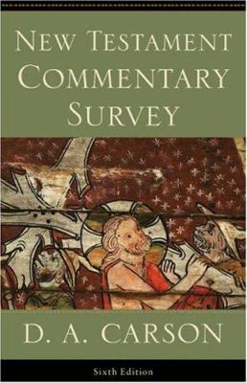 New Testament Commentary Survey Paperback D. A. Carson