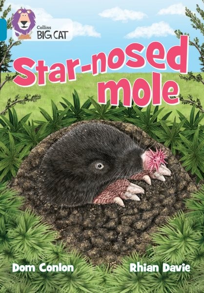 Star-nosed Mole : Band 13/Topaz, Paperback by Conlon, Dom; Davie, Rhian (ILT)…
