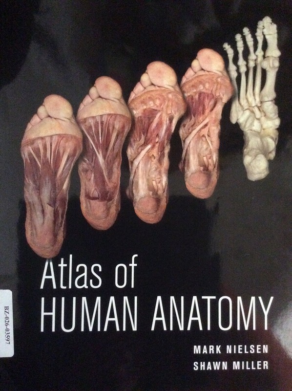 Atlas of Human Anatomy – ring_bound Miller, Shawn D.|Nielsen, Mark