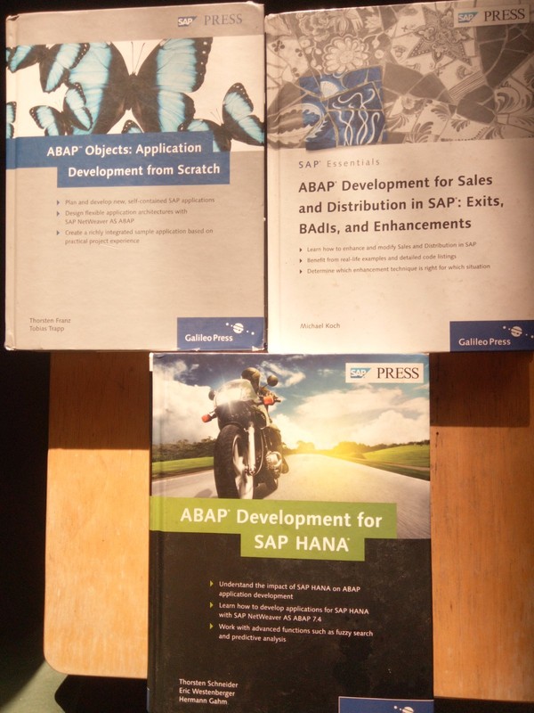 211 ABAP OBJECTS APPLICATION DEVELOPMENT FM SCRATCH Thorsten Franz+Tobias Trapp gallery