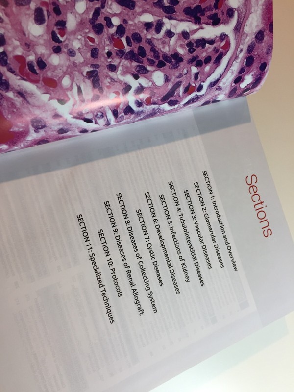 Diagnostic Pathology Kidney Diseases gallery