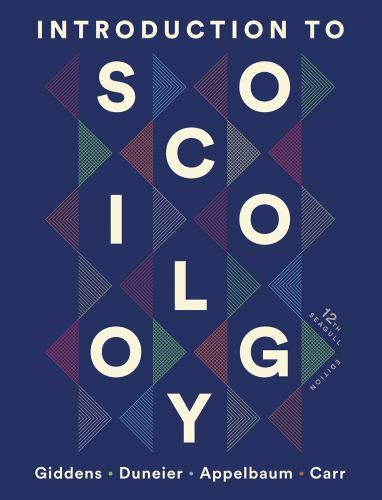 Introduction to Sociology: Seagull Edition by