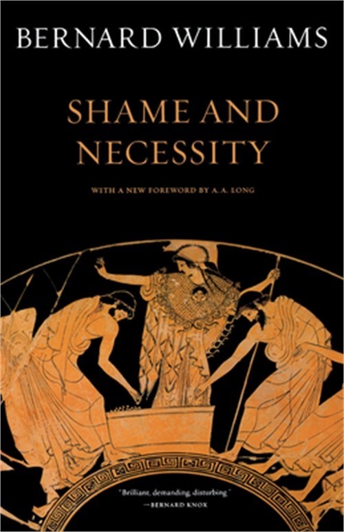 Shame and Necessity (Paperback or Softback)