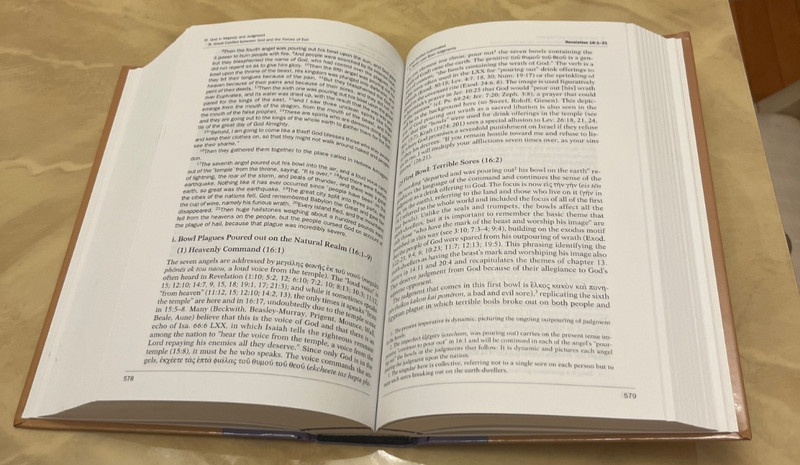 Baker Exegetical Commentary on the New Testament Ser.: Revelation by Grant R.... gallery
