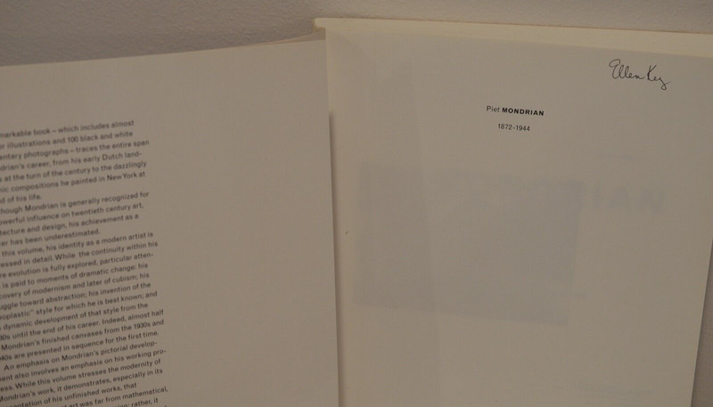 Piet Mondrian 1872 - 1944 Textbook Art Book Historical Angelica Z Rudenstine gallery