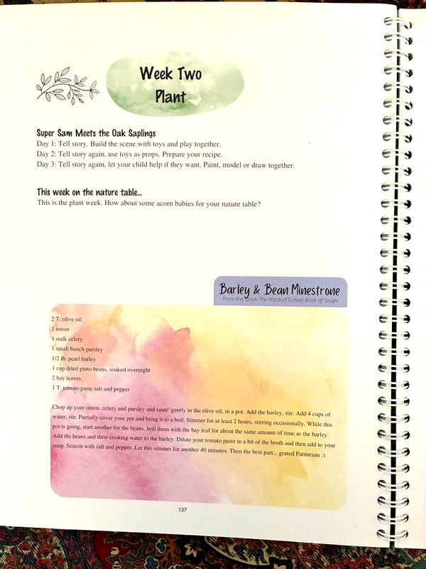 Waldorf Essentials Kindergarten Year One by Melisa Nielsen 2021 Spiral Paperback gallery