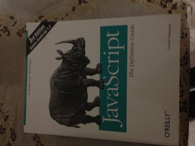 JavaScript: The Definitive Guide by Flanagan, David, Good Book