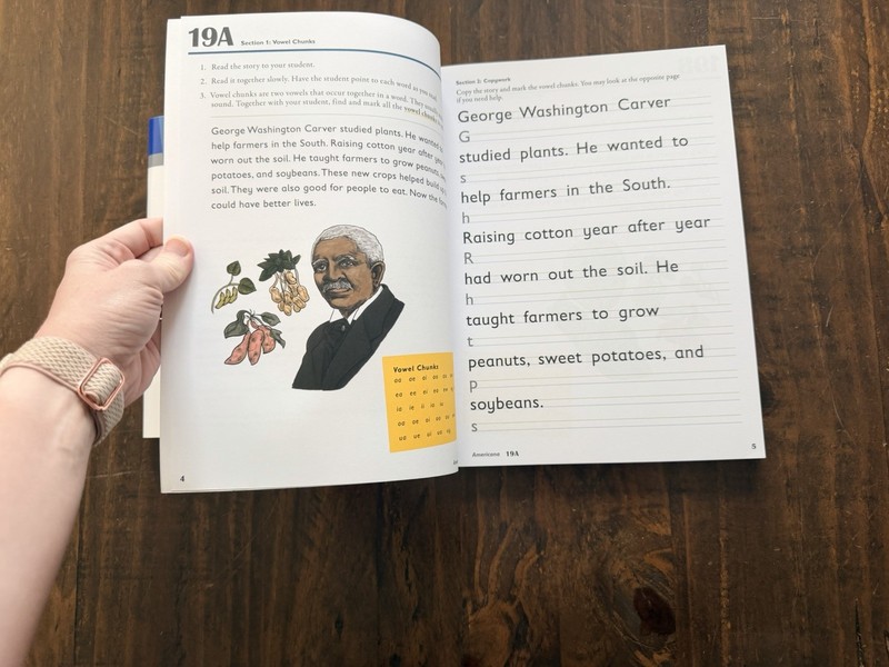 Spelling You See Americana D + Student Workbooks part 2 ONLY gallery