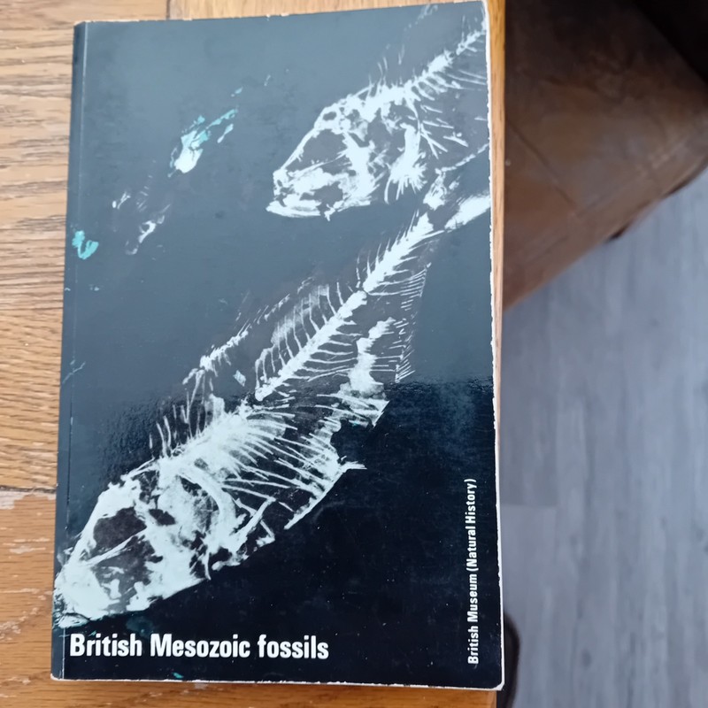 British Mesozoic Fossils Natural History Museum Paperback Book 4th edition 1972.