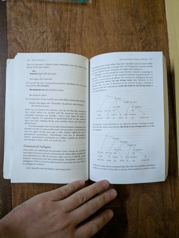 Doing Grammar: Fourth Edition by Max Morenberg; Oxford Press 2010 GOOD Conditon gallery