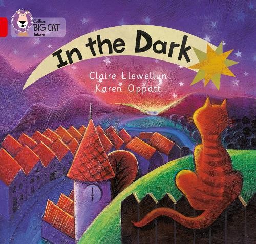 In the Dark: A patterned non-fictio… by Llewellyn, Claire Paperback / softback