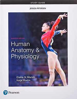 Study Guide for Human Anatomy & – Paperback, by Marieb Elaine; Hoehn – Good o