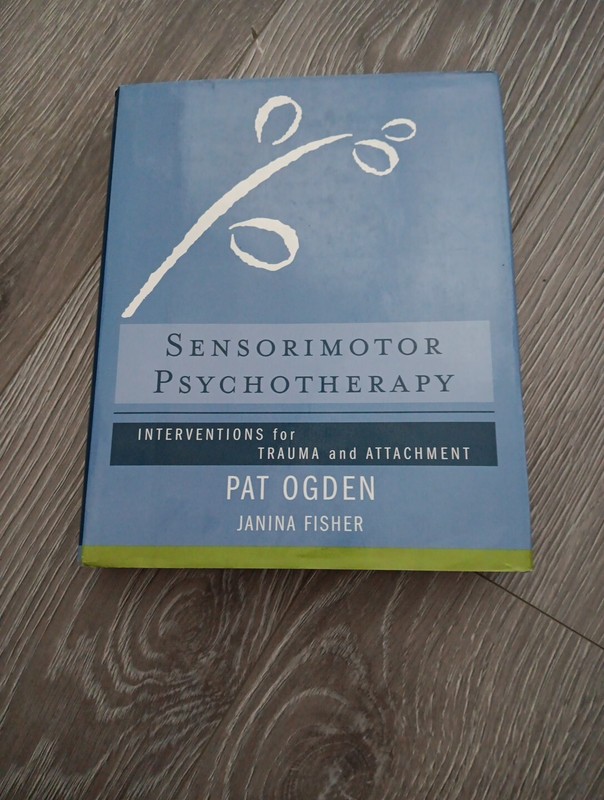 Norton Series on Interpersonal Neurobiology Ser.: Sensorimotor Psychotherapy…