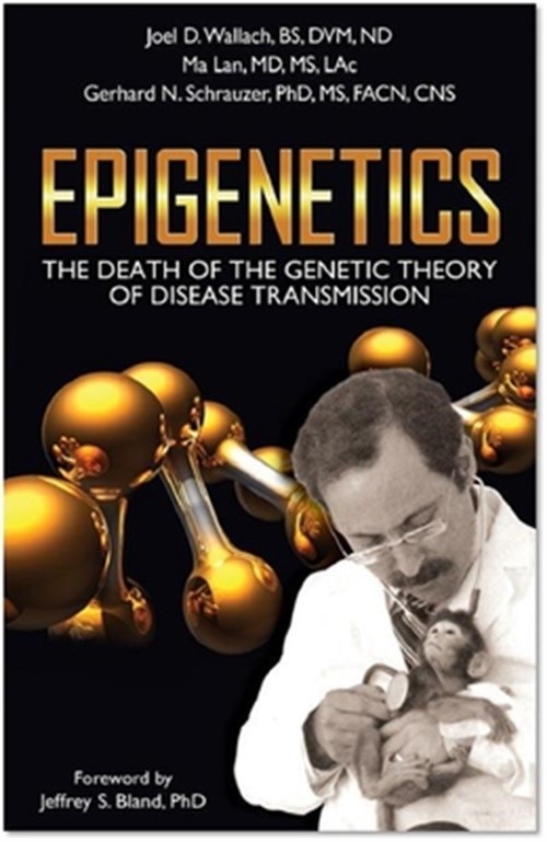 Epigenetics: The Death of the Genetic Theory of Disease Transmission (Paperback