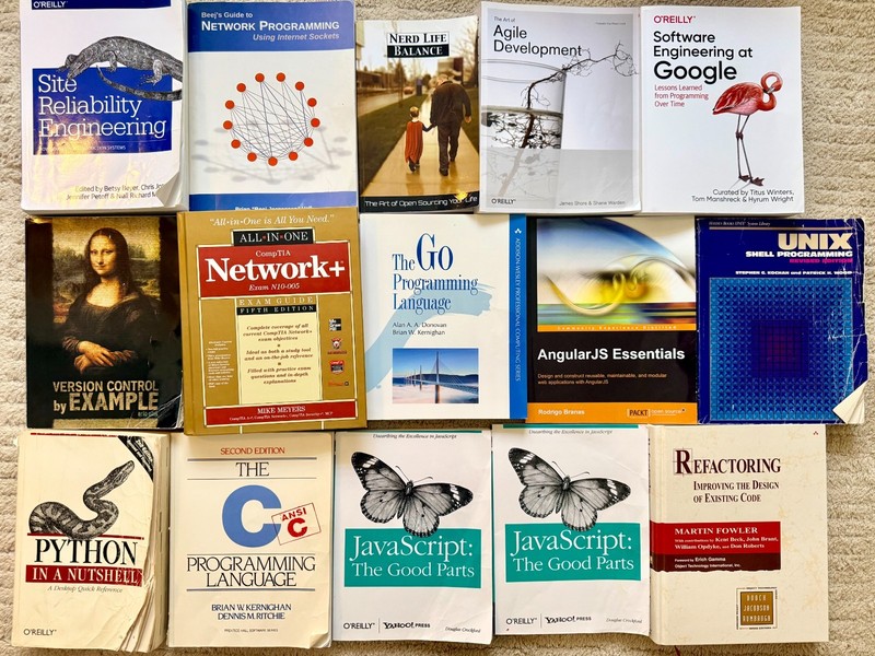 Site Engineer + JS + Go + Data Science bundle – tech book lot