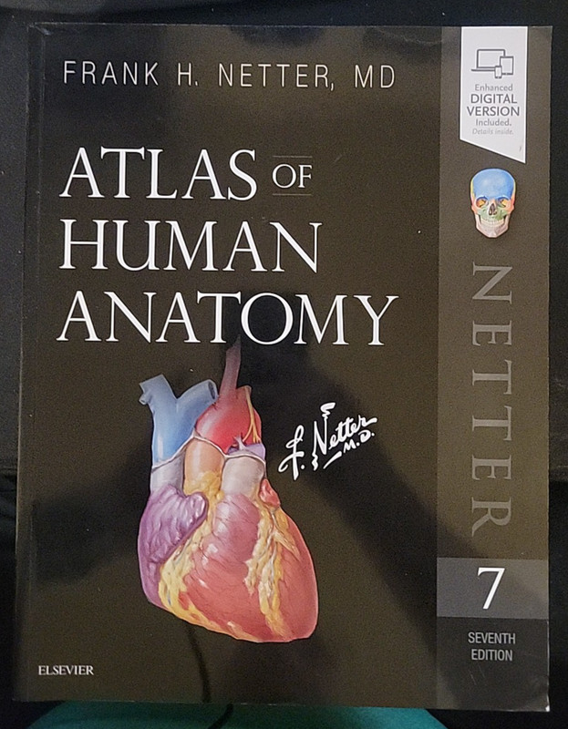 Atlas of Human Anatomy 7th Edition Frank H Netter, MD