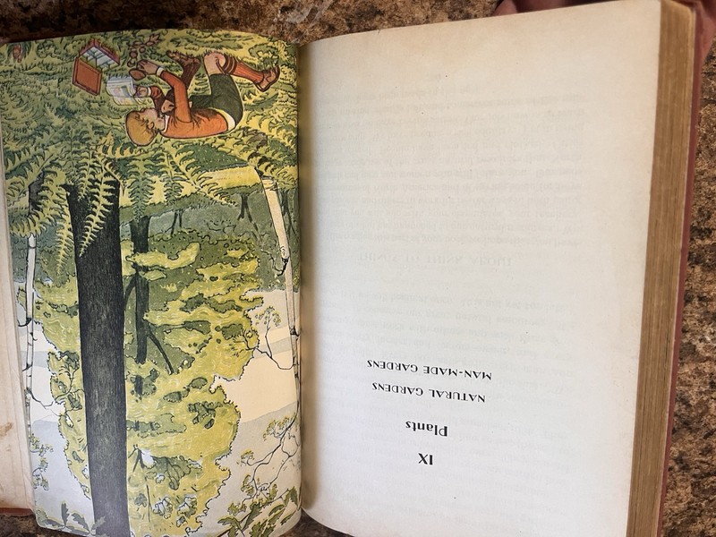 Ginn and Company The Earth and Life Upon It (New Pathways) HC 1940, Craig gallery