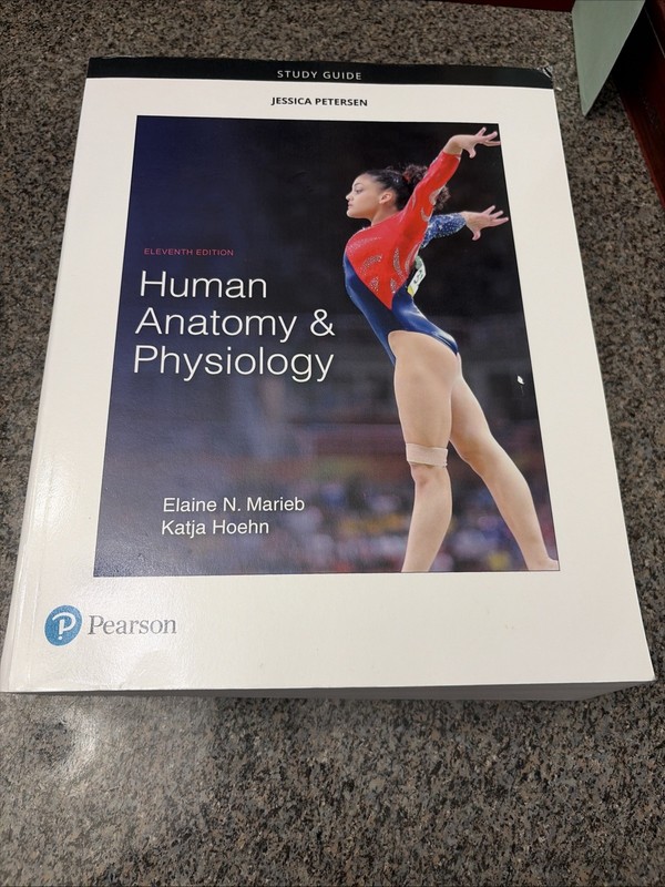 Study Guide for Human Anatomy and Physiology by Elaine Marieb and Katja Hoehn…