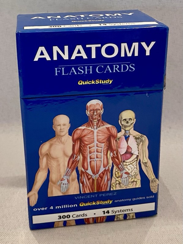 QuickStudy ANATOMY FLASH CARDS – 300 Cards – 14 Systems – Full Color – Study Aid