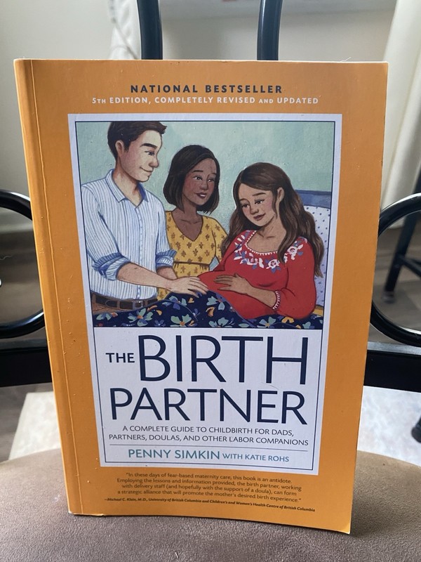 Birth Partner 5th Ed : A Guide to Childbirth for Dads, Partners by Penny Simkin