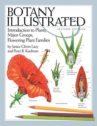 Botany Illustrated: Introducti – ACCEPTABLE