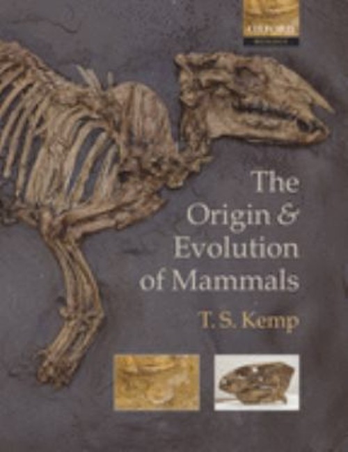 The Origin and Evolution of Mammals Paperback T. S. Kemp