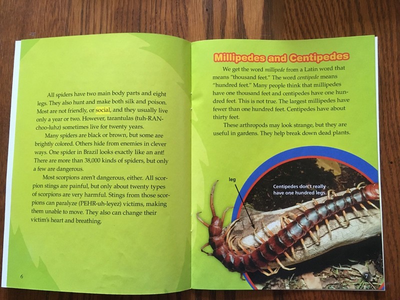 Lot Set of 25 PB Books 4th Grade Leveled Readers Homeschool Journeys HMH Reading gallery