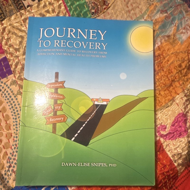 Journey to Recovery Dawn-Elise Snipes PhD Paperback Addiction Mental Health