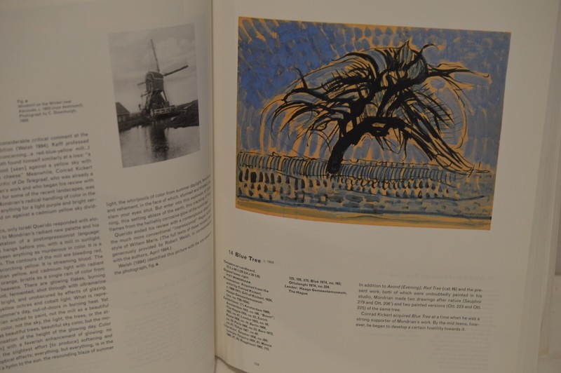 Piet Mondrian 1872 - 1944 Textbook Art Book Historical Angelica Z Rudenstine gallery