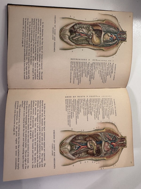Atlas of Human Anatomy 1935 Hardcover Book Vintage gallery