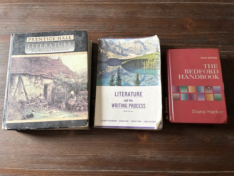 Lot Of 3 School Books from early 2000’s English, Writing and Literature